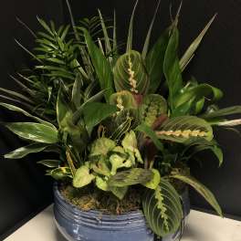 12" Ceramic Dish Garden