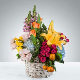 Colorful mixed flower arrangement in a white wicker basket with oranges