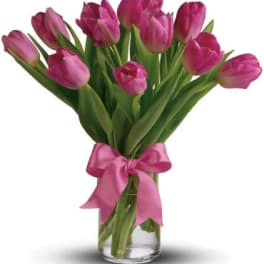 Precious Pink Tulips