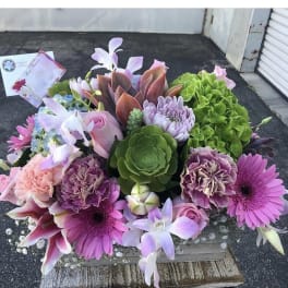 Mixed bouquet with pink, purple, and green flowers and succulents