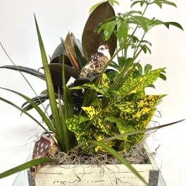 Mixed potted tropical plants in a wooden planter with decorative birds