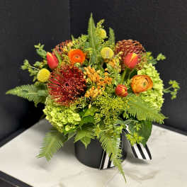 Protea Passion
