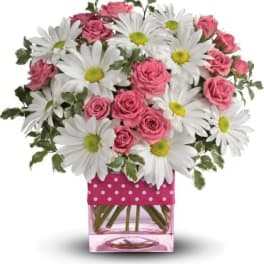 Arrangement of white daisies and pink roses in a glass cube vase with a pink polka-dot ribbon.