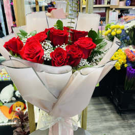 One-dozen Roses 