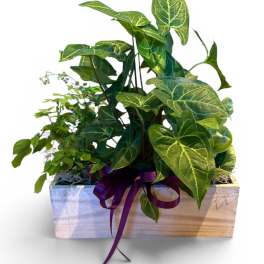 Wooden Window Planter