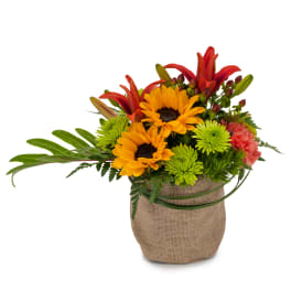 Mixed bouquet with sunflowers, red lilies, and green mums in a burlap-wrapped container