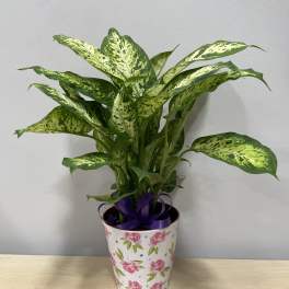Pretty Planter ~ Pink Roses Pot