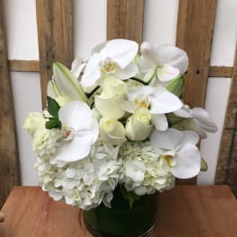White orchid and hydrangea arrangement in a dark glass vase