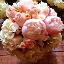 Pink and white rose bouquet with peony-like blooms