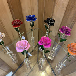 Forever Rose - One
