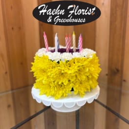 Birthday Cake Blossom