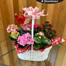Basket of pink and red potted flowers with a heart ribbon