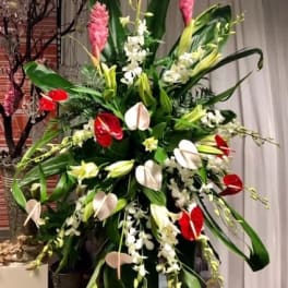 Tropical Tribute