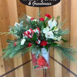 Red and white floral arrangement in a decorative container
