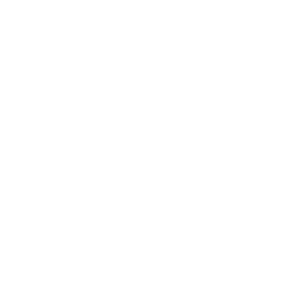 Solid green background with no visible product