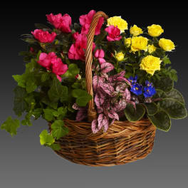 Blooming Garden Basket by Teleflora
