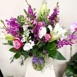 Makara Orchid Majesty