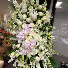 Pacific View Elegance Tribute