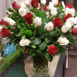 Luxury Roses