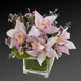Pink orchids arranged in a clear square vase