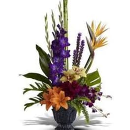 Tropical flower arrangement in a dark pedestal vase
