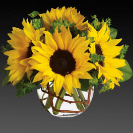 Bouquet of yellow sunflowers in a clear glass vase