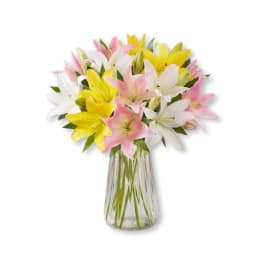 Bouquet of pink, white, and yellow lilies in a clear glass vase