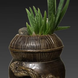 Potted aloe plant in a carved brown ceramic container