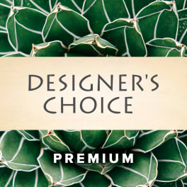 Designer's Choice Premium text over green succulent leaves