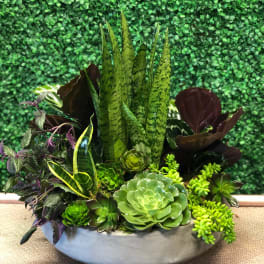 MODERN GARDEN