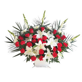 Comfort Basket