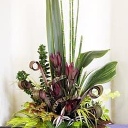 Tall tropical arrangement with purple blooms and large green leaves