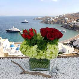 Red roses and red tulips in a glass vase with pale green hydrangeas