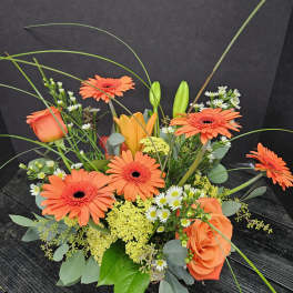 Orange vibes