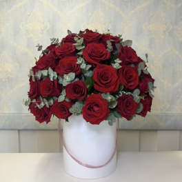 Luxury Red Velvet