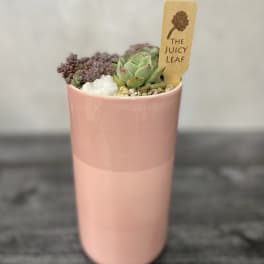 Small succulent arrangement in a pink ceramic pot with a wooden plant tag