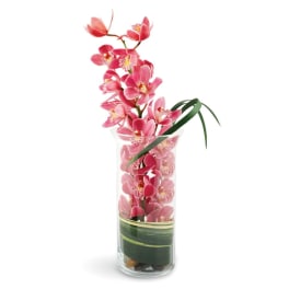 Tall clear glass vase with a cascading stem of pink cymbidium orchids and decorative leaves