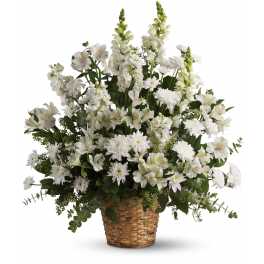 Heavenly Light by Teleflora