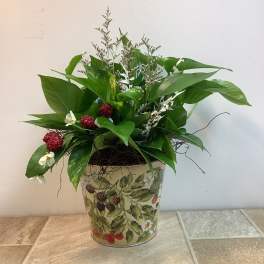 Berry Botanical