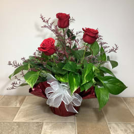 Three red roses in a wrapped arrangement with a white bow
