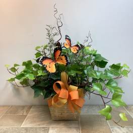 Algerian Ivy Basket