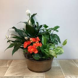 Mixed green plants with orange flowers and white blooms in an oval bronze planter