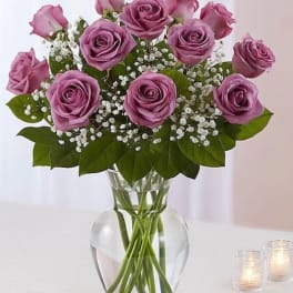 lavender love