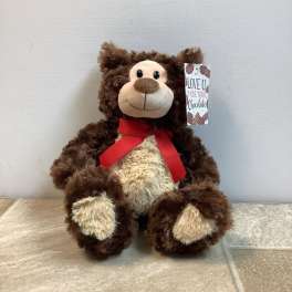 Plush brown teddy bear with a red ribbon and hanging gift tag