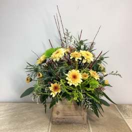 Yellow daisy-like flowers arranged in a rustic wooden box