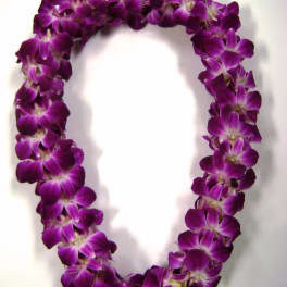 Bombay Orchid Lei - Double