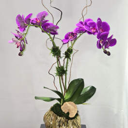 Purple orchids in a gold textured vase with curly branches