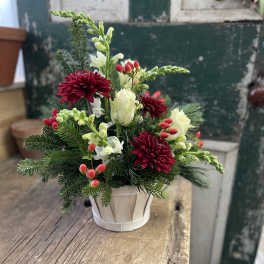 Compact floral arrangement in a white pot with red and white blooms