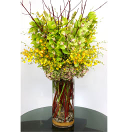 Tall arrangement of green orchids, yellow blooms, and hydrangeas in a clear cylinder vase