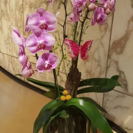 Pink orchids arranged in a dark vase with a decorative butterfly